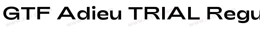 GTF Adieu TRIAL Regu字体转换